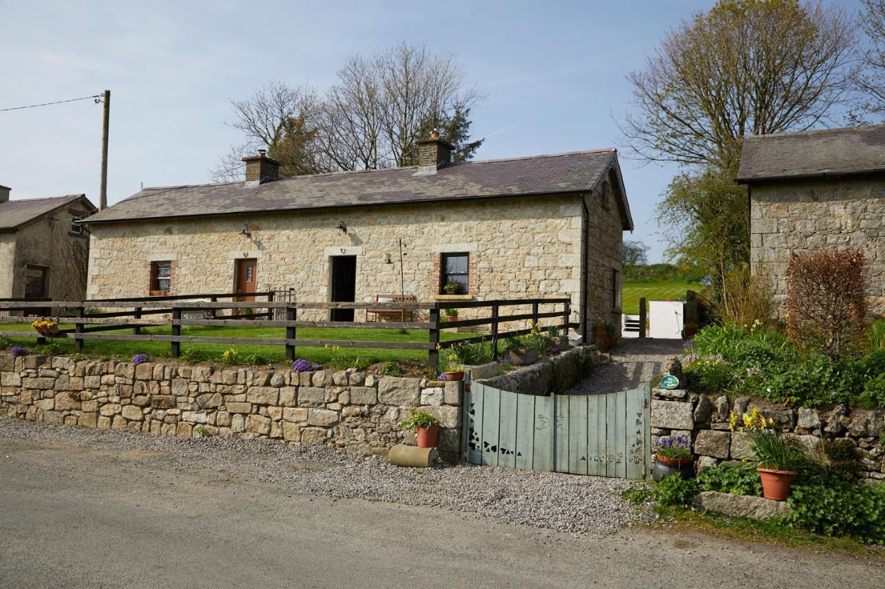 Coolkenno Kilquiggan Cottages מראה חיצוני תמונה